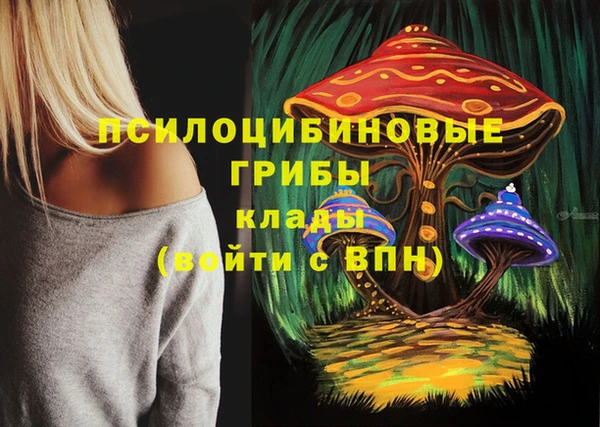 PSILOCYBIN Алексин